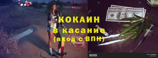 индика Верея