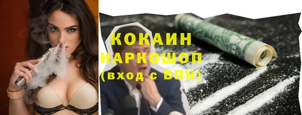 индика Верея