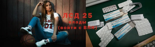 индика Верея