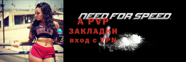 индика Верея