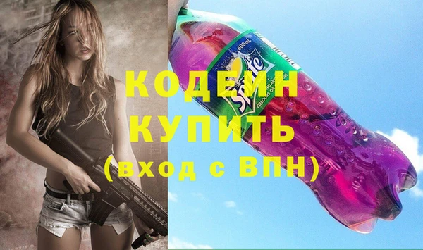 индика Верея