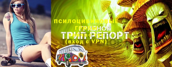 гидропоника Верхний Тагил