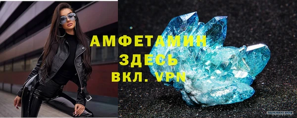 индика Верея
