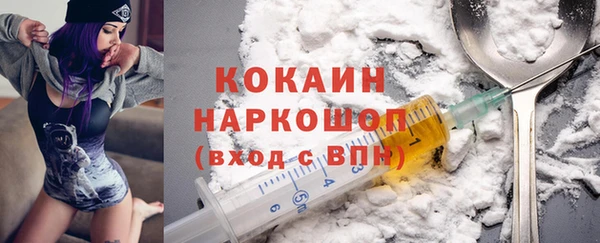 индика Верея