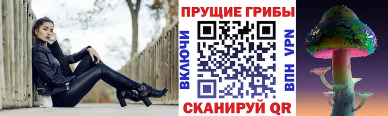 Псилоцибиновые грибы мицелий  KRAKEN ССЫЛКА  Назарово 